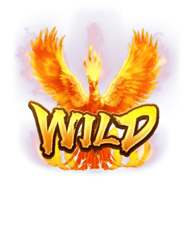 wild phoenix rises
